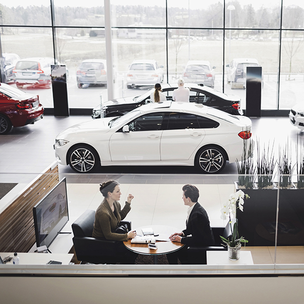 White car in dealer showroom