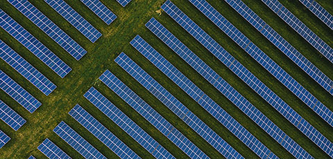 Cultivating sustainable agriculture industry practices requires a strategic process